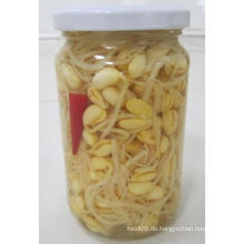 Best Seller Canned Bean Sprout aus China